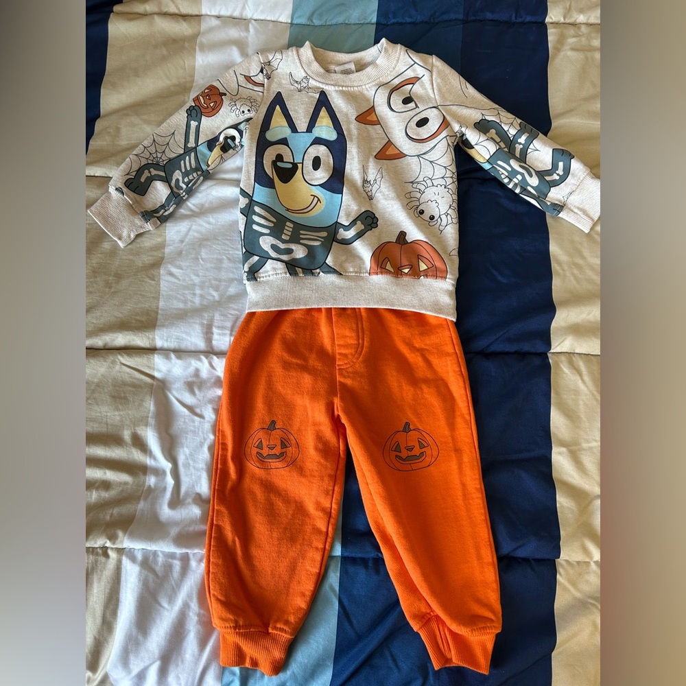 Bluey comfy set